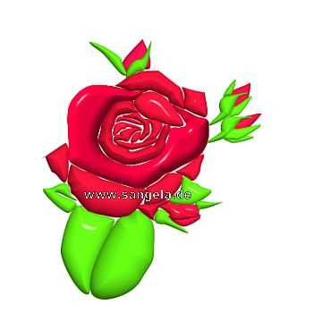 Роза - Rose