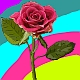 Rose (Роза)