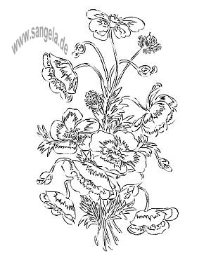 Цветы - Адонис, (Blumen - Adonis)